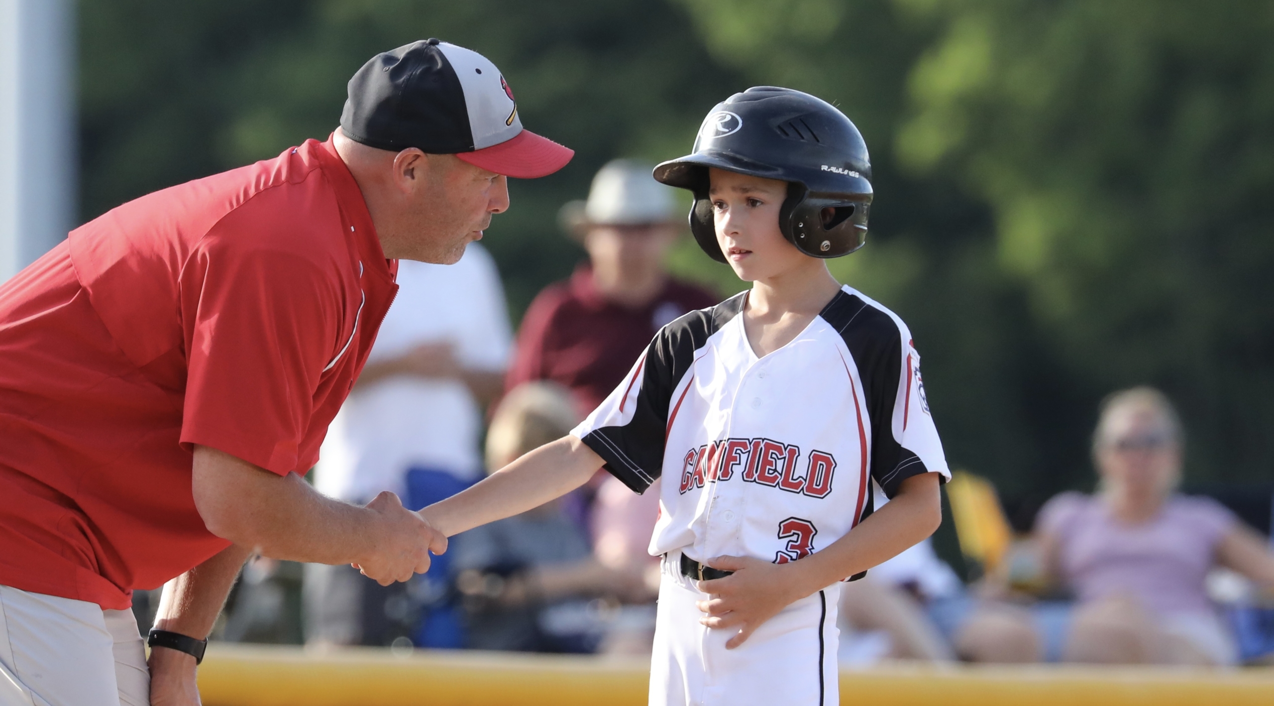 Little League Baseball Archives