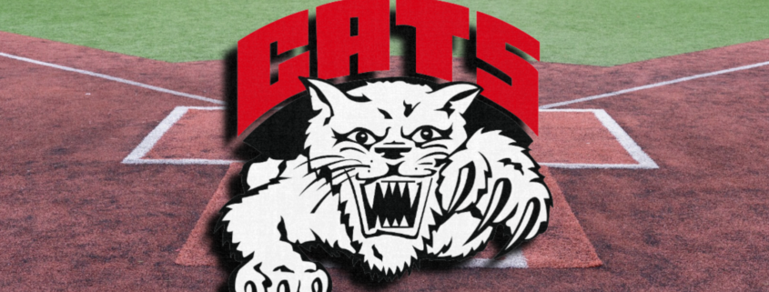 Struthers Baseball STRUTHERS SNEAKS ONE AWAY FROM THE BULLDOGS - Your Sports Network
